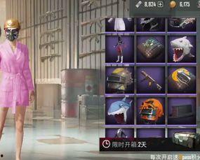 光子爆料皮肤视频,皮肤视频中的隐藏彩蛋与惊喜